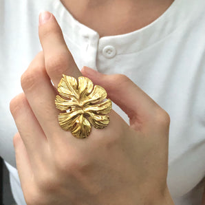 Anillo Encanto