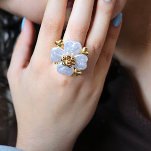 Anillo Duna